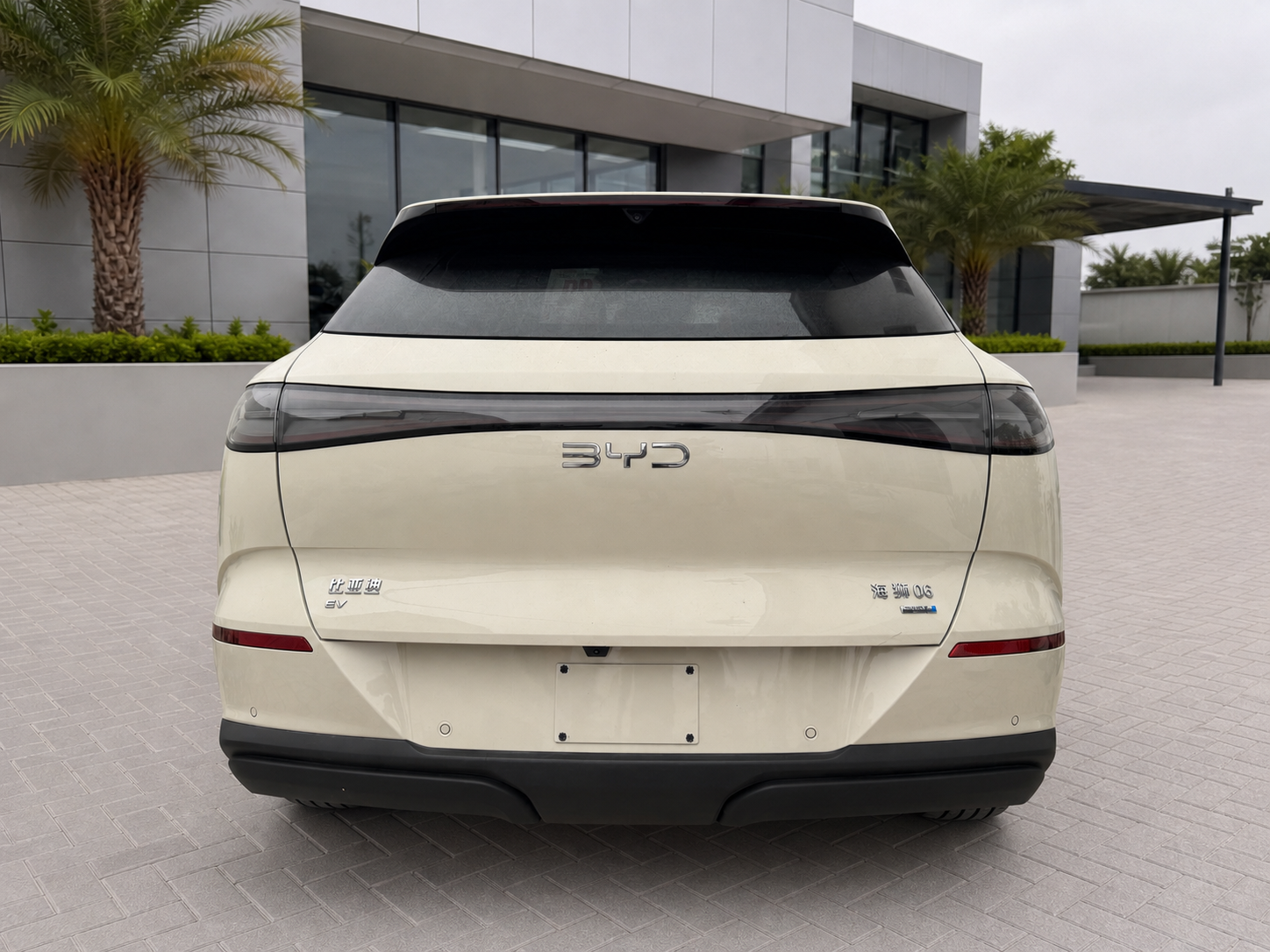 Rear view of the pearl white BYD Sealion 06